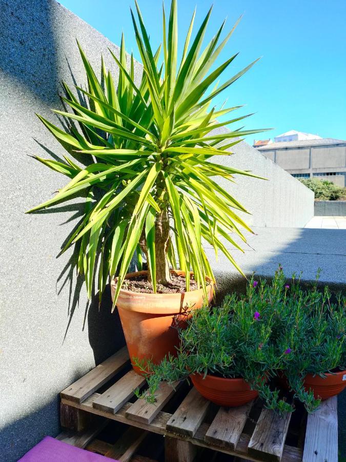 Porto Santa Catarina - Apartment With Terrace المظهر الخارجي الصورة